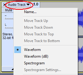 Audio Track Dropdown Menu trimmed.png